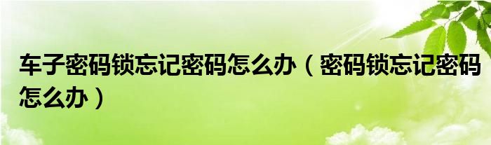 車子密碼鎖忘記密碼怎么辦（密碼鎖忘記密碼怎么辦）