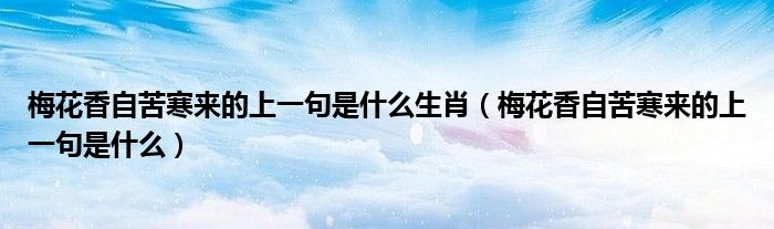 梅花香自苦寒來(lái)的上一句是什么生肖（梅花香自苦寒來(lái)的上一句是什么）