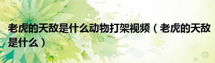 老虎的天敵是什么動物打架視頻（老虎的天敵是什么）