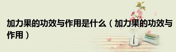 加力果的功效與作用是什么（加力果的功效與作用）