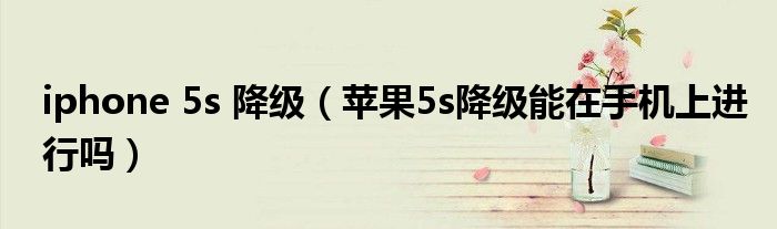 iphone 5s 降級（蘋果5s降級能在手機上進行嗎）