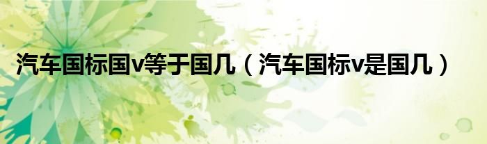 汽車國標國v等于國幾（汽車國標v是國幾）