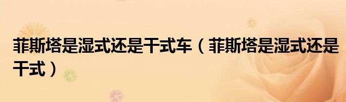菲斯塔是濕式還是干式車（菲斯塔是濕式還是干式）