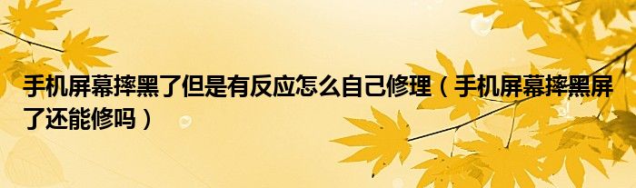 手機屏幕摔黑了但是有反應怎么自己修理（手機屏幕摔黑屏了還能修嗎）