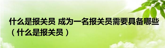 什么是報(bào)關(guān)員 成為一名報(bào)關(guān)員需要具備哪些（什么是報(bào)關(guān)員）