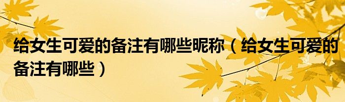 給女生可愛(ài)的備注有哪些昵稱(chēng)（給女生可愛(ài)的備注有哪些）