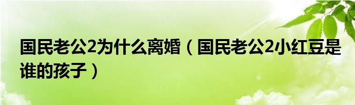 國(guó)民老公2為什么離婚（國(guó)民老公2小紅豆是誰(shuí)的孩子）