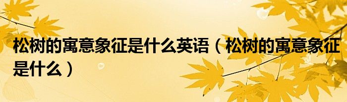 松樹的寓意象征是什么英語（松樹的寓意象征是什么）