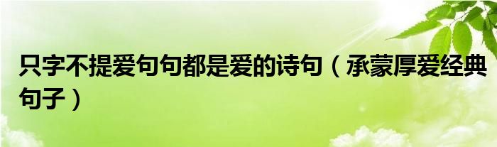 只字不提愛(ài)句句都是愛(ài)的詩(shī)句（承蒙厚愛(ài)經(jīng)典句子）