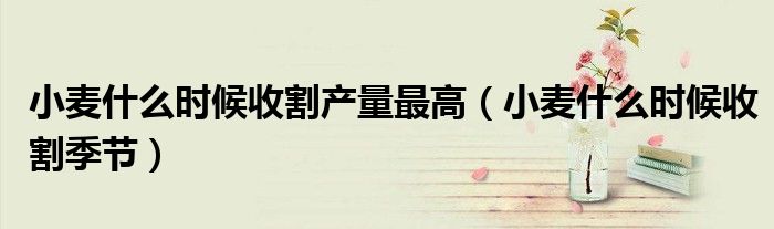 小麥什么時候收割產(chǎn)量最高（小麥什么時候收割季節(jié)）