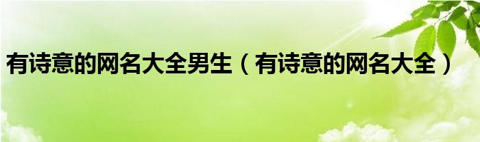 有詩(shī)意的網(wǎng)名大全男生（有詩(shī)意的網(wǎng)名大全）