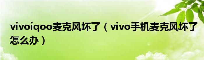 vivoiqoo麥克風(fēng)壞了（vivo手機(jī)麥克風(fēng)壞了怎么辦）