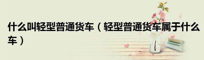 什么叫輕型普通貨車（輕型普通貨車屬于什么車）