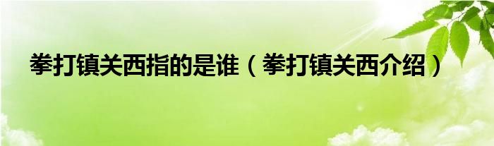 拳打鎮(zhèn)關(guān)西指的是誰（拳打鎮(zhèn)關(guān)西介紹）