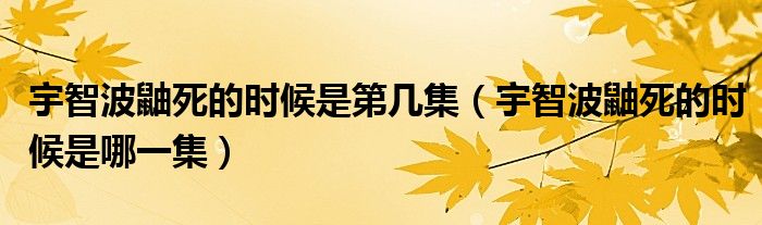 宇智波鼬死的時候是第幾集（宇智波鼬死的時候是哪一集）