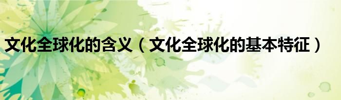文化全球化的含義（文化全球化的基本特征）