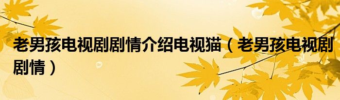 老男孩電視劇劇情介紹電視貓（老男孩電視劇劇情）