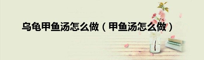 烏龜甲魚湯怎么做（甲魚湯怎么做）