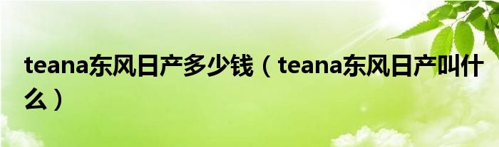 teana東風(fēng)日產(chǎn)多少錢（teana東風(fēng)日產(chǎn)叫什么）