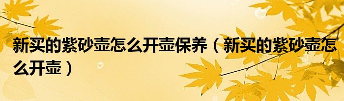 新買的紫砂壺怎么開壺保養(yǎng)（新買的紫砂壺怎么開壺）