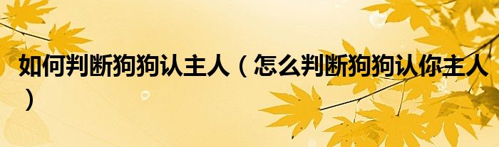 如何判斷狗狗認主人（怎么判斷狗狗認你主人）