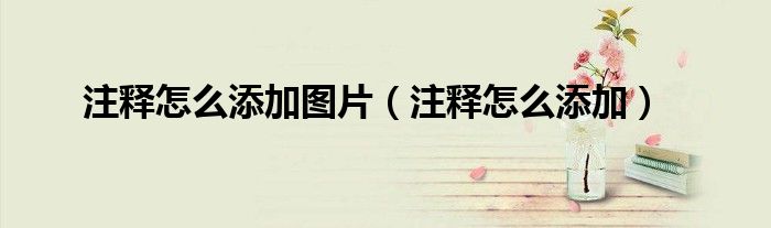 注釋怎么添加圖片（注釋怎么添加）