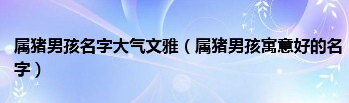 屬豬男孩名字大氣文雅（屬豬男孩寓意好的名字）