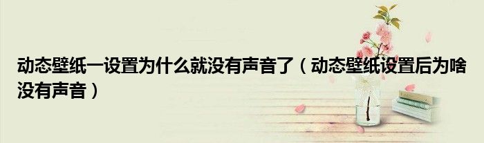動態(tài)壁紙一設置為什么就沒有聲音了（動態(tài)壁紙設置后為啥沒有聲音）