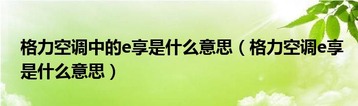 格力空調(diào)中的e享是什么意思（格力空調(diào)e享是什么意思）