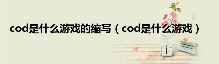 cod是什么游戲的縮寫（cod是什么游戲）