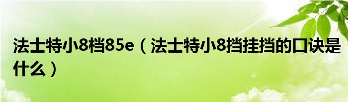 法士特小8檔85e（法士特小8擋掛擋的口訣是什么）