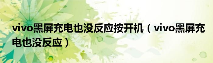 vivo黑屏充電也沒反應(yīng)按開機(jī)（vivo黑屏充電也沒反應(yīng)）