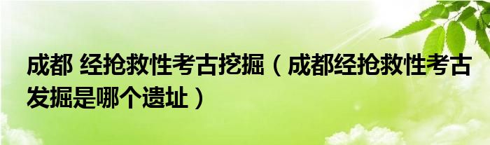 成都 經(jīng)搶救性考古挖掘（成都經(jīng)搶救性考古發(fā)掘是哪個遺址）