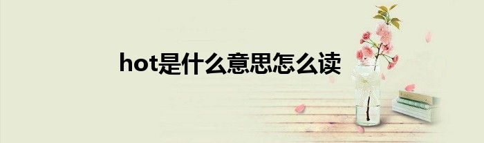 hot是什么意思怎么讀