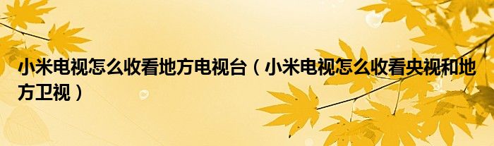 小米電視怎么收看地方電視臺（小米電視怎么收看央視和地方衛(wèi)視）