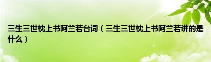 三生三世枕上書阿蘭若臺詞（三生三世枕上書阿蘭若講的是什么）