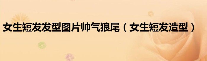 女生短發(fā)發(fā)型圖片帥氣狼尾（女生短發(fā)造型）