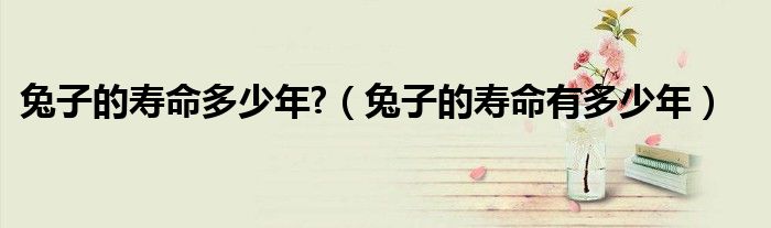 兔子的壽命多少年?（兔子的壽命有多少年）