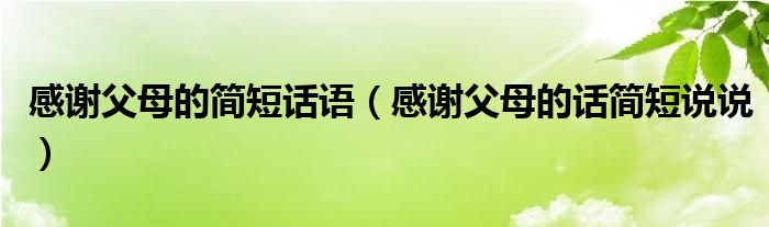 感謝父母的簡短話語（感謝父母的話簡短說說）