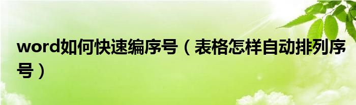 word如何快速編序號(hào)（表格怎樣自動(dòng)排列序號(hào)）