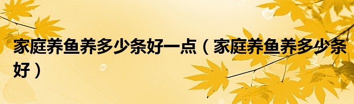 家庭養(yǎng)魚(yú)養(yǎng)多少條好一點(diǎn)（家庭養(yǎng)魚(yú)養(yǎng)多少條好）