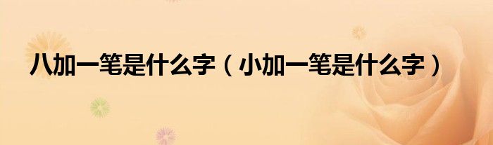 八加一筆是什么字（小加一筆是什么字）