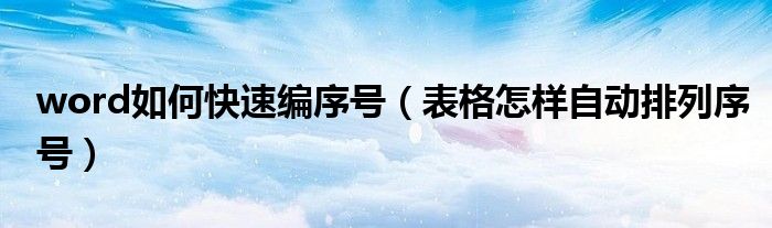 word如何快速編序號（表格怎樣自動排列序號）