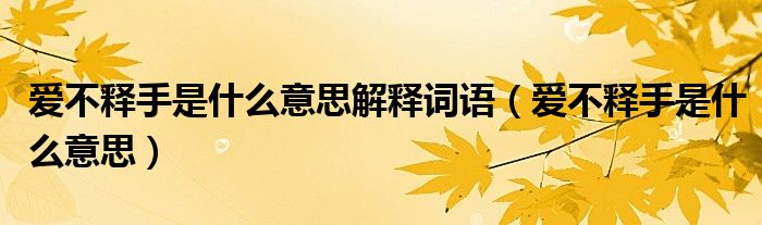 愛不釋手是什么意思解釋詞語（愛不釋手是什么意思）