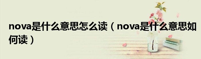 nova是什么意思怎么讀（nova是什么意思如何讀）