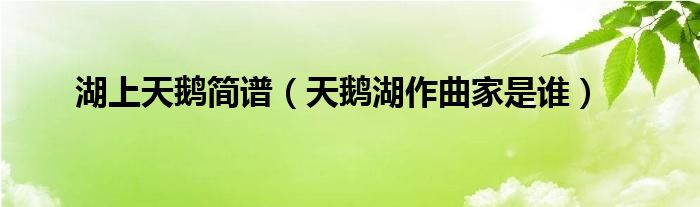 湖上天鵝簡(jiǎn)譜（天鵝湖作曲家是誰）