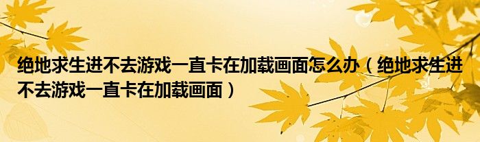絕地求生進(jìn)不去游戲一直卡在加載畫面怎么辦（絕地求生進(jìn)不去游戲一直卡在加載畫面）