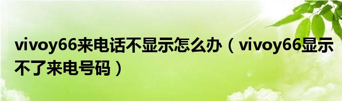 vivoy66來(lái)電話不顯示怎么辦（vivoy66顯示不了來(lái)電號(hào)碼）