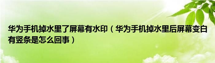 華為手機掉水里了屏幕有水印（華為手機掉水里后屏幕變白有豎條是怎么回事）