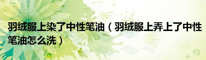 羽絨服上染了中性筆油（羽絨服上弄上了中性筆油怎么洗）